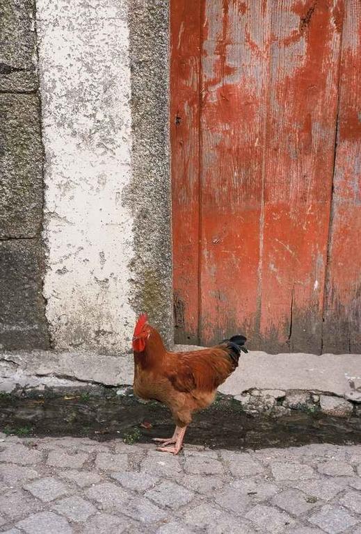 A Lagosta Perdida Montezinho Kültér fotó