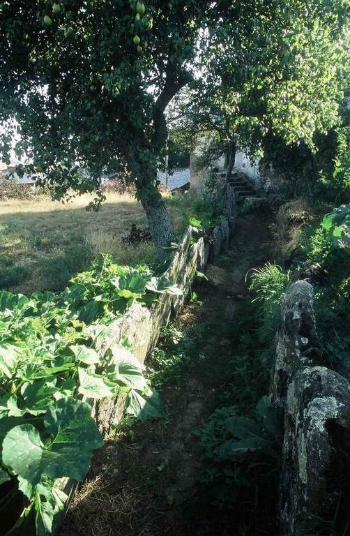 A Lagosta Perdida Montezinho Kültér fotó