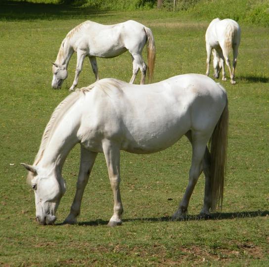 A Lagosta Perdida Montezinho Kültér fotó